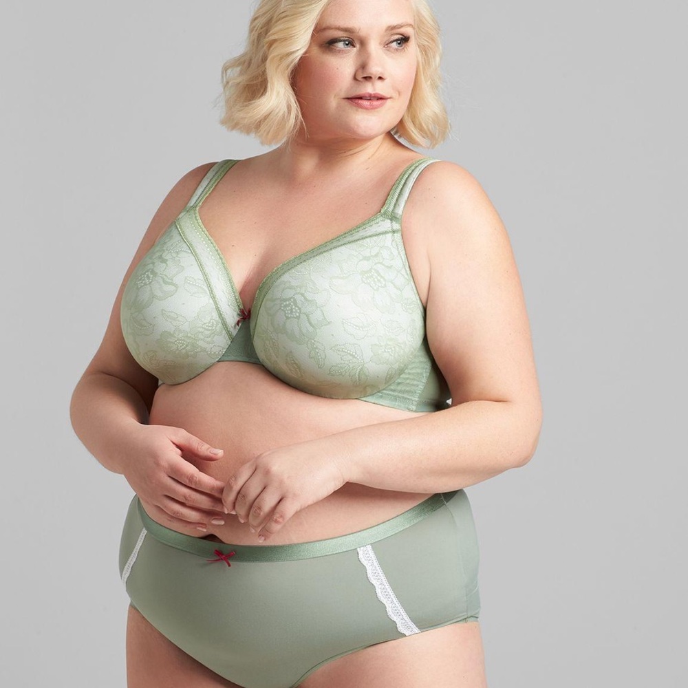 Lane Bryant - Cacique